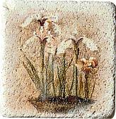 Плитка Cir Marble Age Ins.Travertino S/3 (Три Цветка) 1511084-00-1300-2
